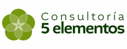5 Elementos Logo